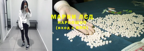 гашиш Богданович