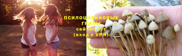 дживик Богородск