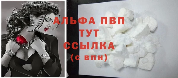 дживик Богородск