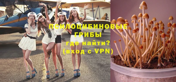 экстази Белокуриха