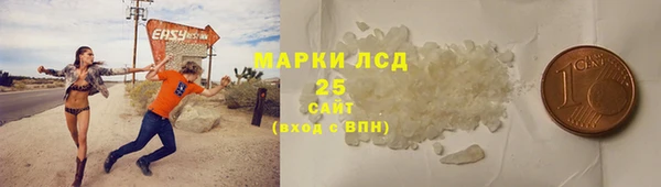 шишки Богородицк