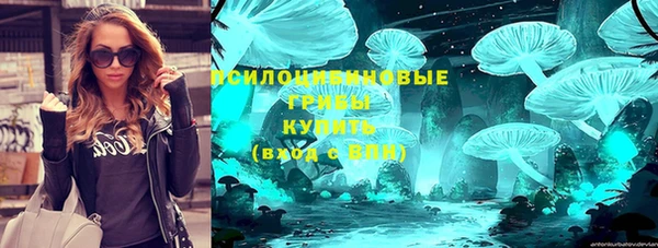 гашиш Богданович