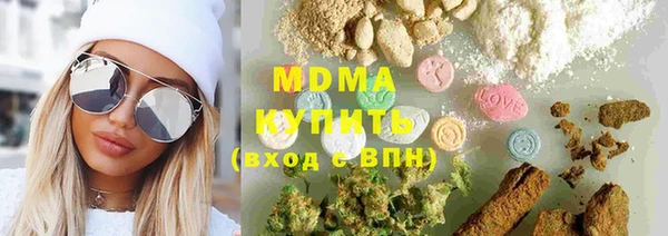 шишки Богородицк